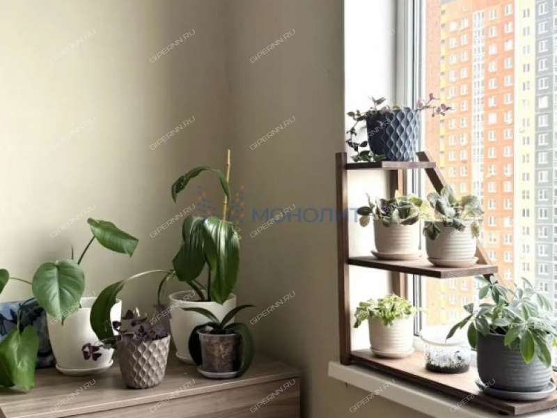 двухкомнатная квартира на Русской улице улице дом 5 деревня Анкудиновка