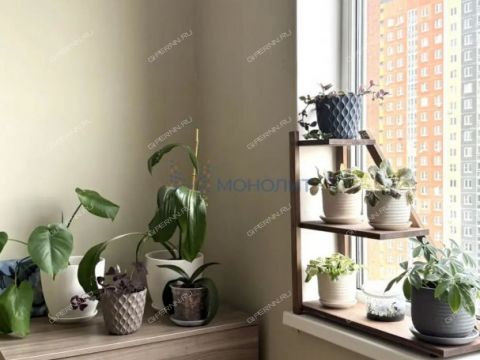 2-komnatnaya-derevnya-ankudinovka-kstovskiy-rayon фото