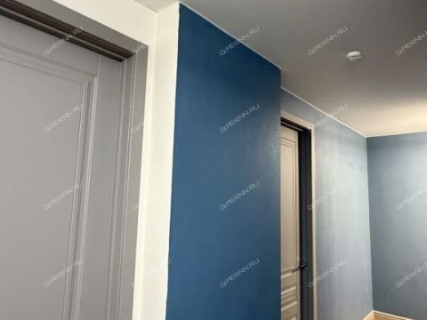 2-komnatnaya-ul-2-ya-oranzhereynaya-d-4a-k1 фото