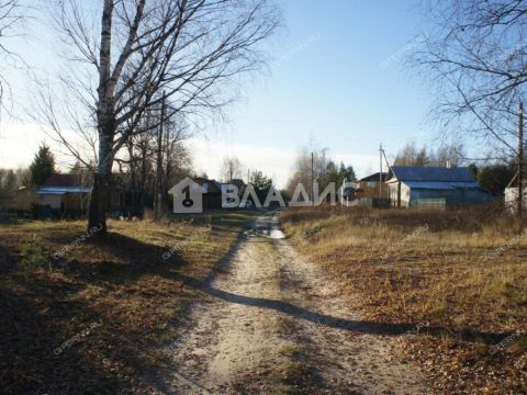 dom-derevnya-shhepachiha-pavlovskiy-municipalnyy-okrug фото