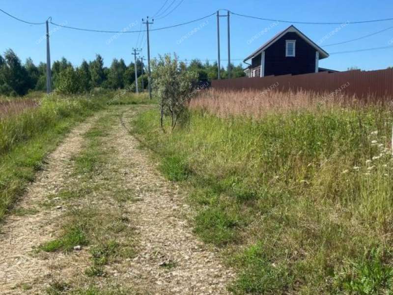 земельный участок 10 соток деревня Новая Владимировка