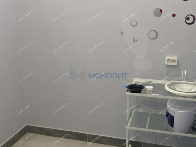 готовый бизнес объект 1609098 в Новинском сельском совете Нижнего Новгорода