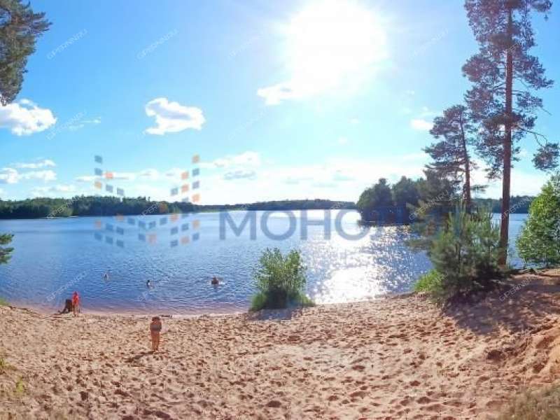 дом на улице Заповедная село Пустынь