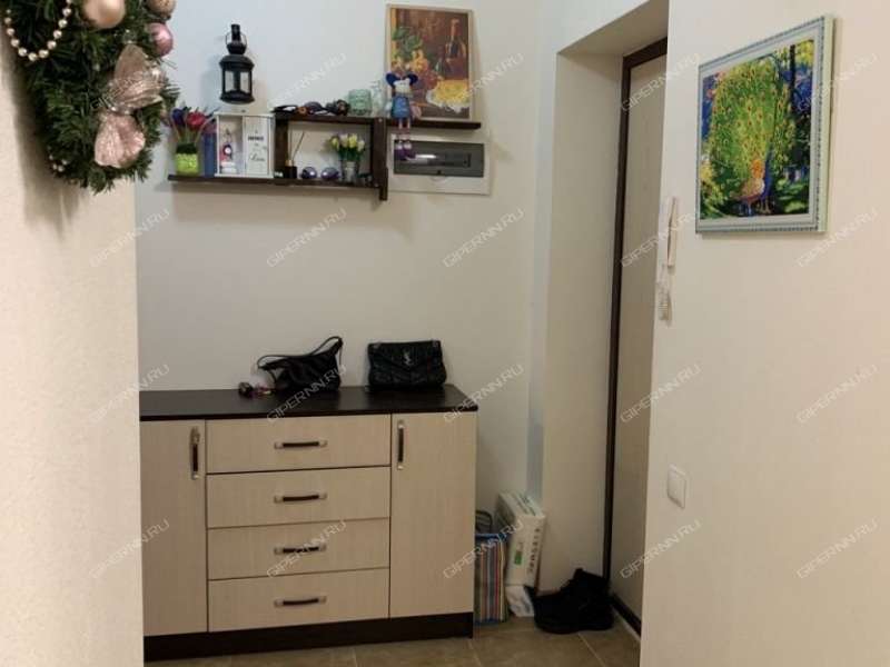 двухкомнатная квартира на Русской улице улице дом 9 деревня Анкудиновка