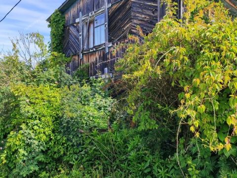 dacha-derevnya-osinki-semenovskiy-gorodskoy-okrug фото