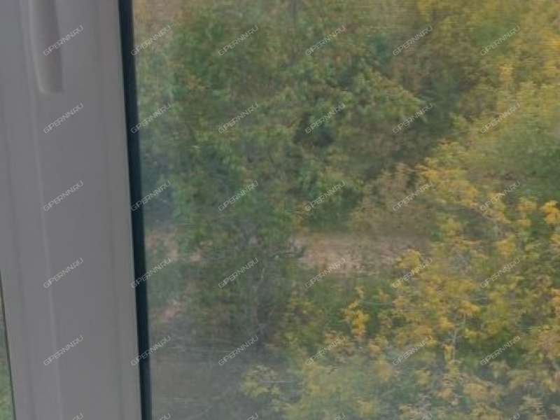 двухкомнатная квартира на Новой улице дом 8 посёлок Мулино