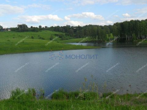 derevnya-shvariha-bogorodskiy-municipalnyy-okrug фото