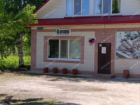 3-komnatnaya-derevnya-bolshaya-svecha-gorodskoy-okrug-shahunya фото