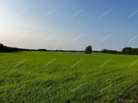 derevnya-knyazhevo-gorodskoy-okrug-bor фото