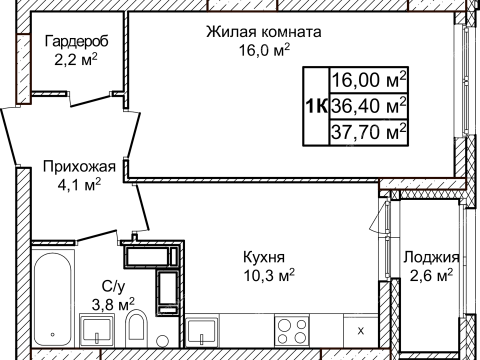 1-komnatnaya-zhk-novoe-olgino-dom-1 фото