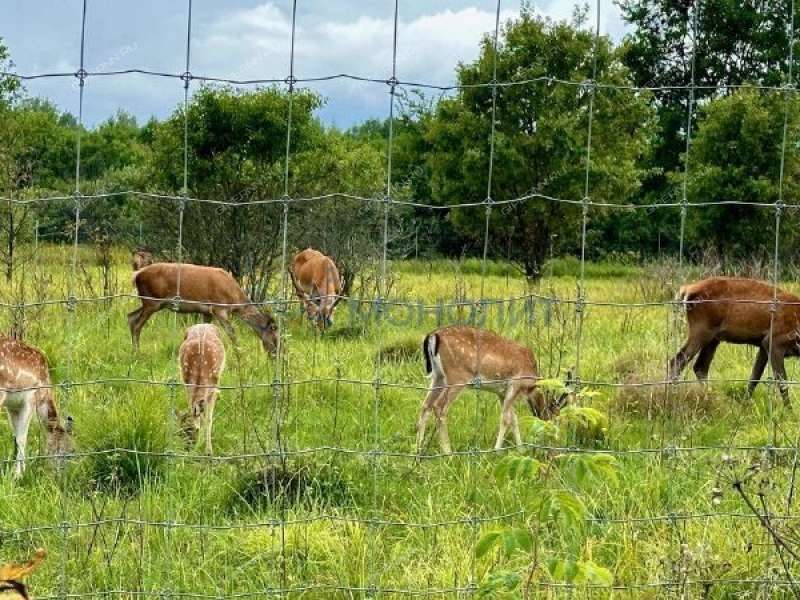 дом на - деревня Пионерское