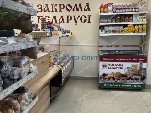 ul-burevestnika-d-16 фото