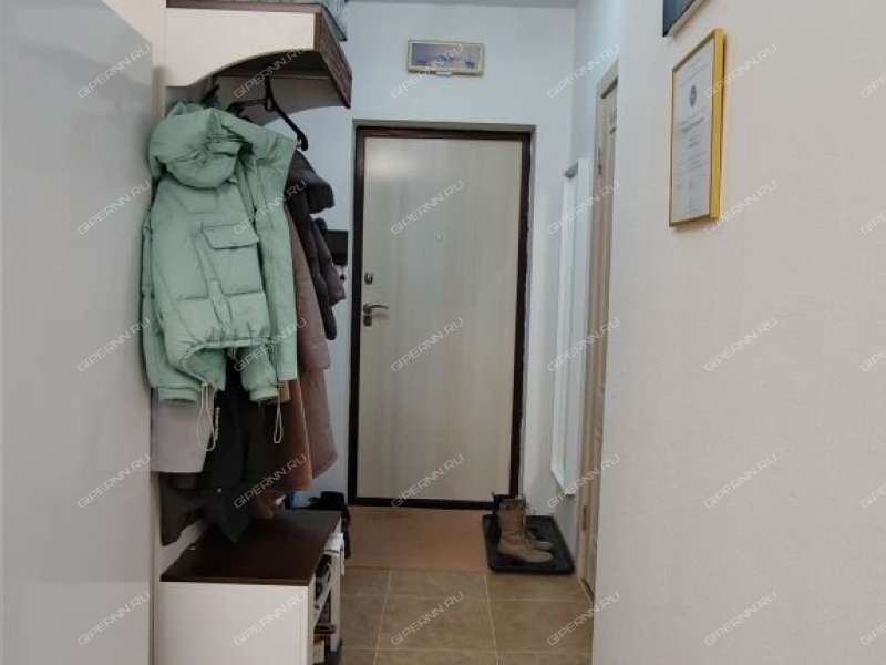 однокомнатная квартира на Русской улице улице дом 16 деревня Анкудиновка