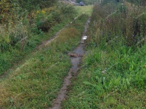 derevnya-tkalino-gorodeckiy-rayon фото