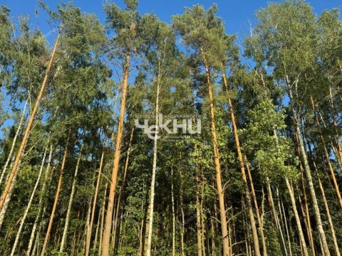 dom-tsn-chistye-klyuchi-dalnekonstantinovskiy-rayon фото