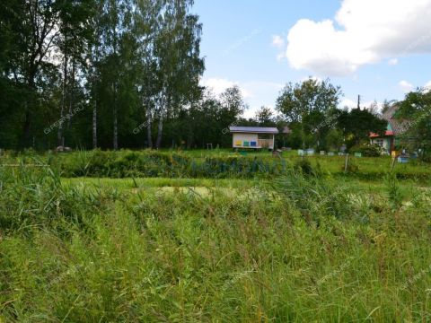 derevnya-yablonovo-gorodskoy-okrug-chkalovsk фото