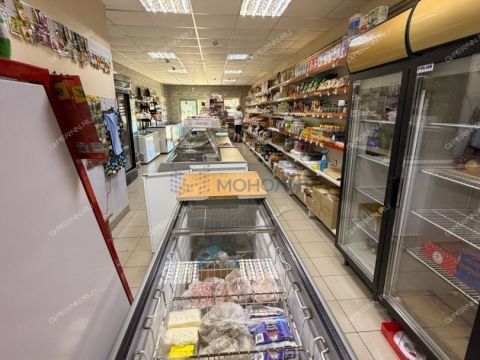 rabochiy-poselok-bolshoe-kozino-balahninskiy-municipalnyy-okrug фото