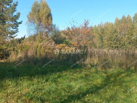 dom-bor-gorodskoy-okrug-bor фото