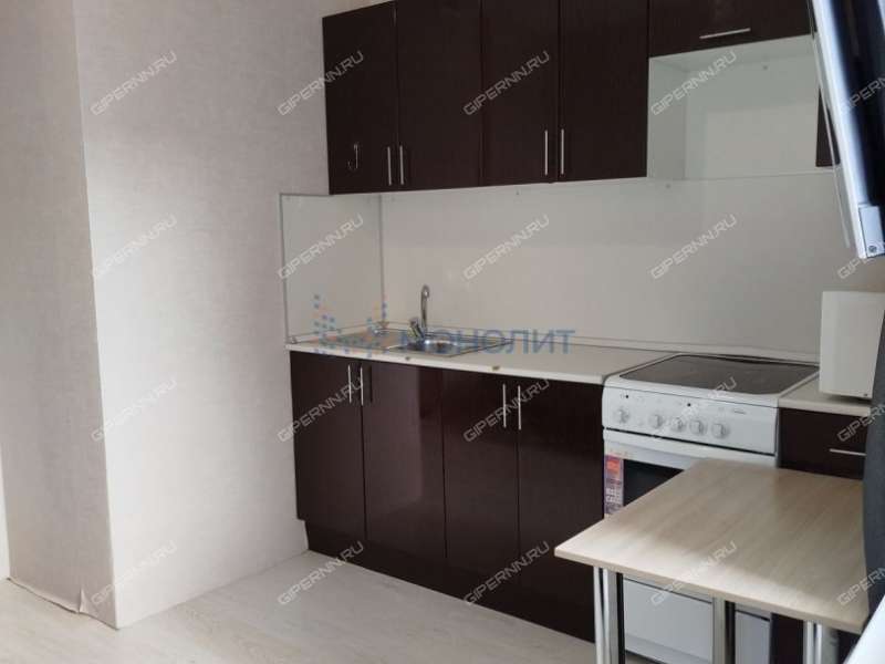 однокомнатная квартира на Русской улице улице дом 4 деревня Анкудиновка