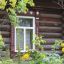 Фото: Ксения Ражева / gipernn.ru