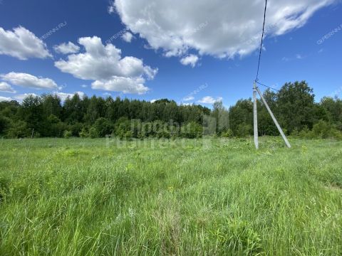 derevnya-lipovki-balahninskiy-municipalnyy-okrug фото