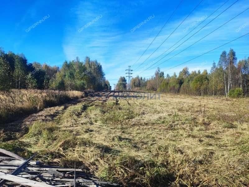 земельный участок 6 соток - деревня Ляпуниха