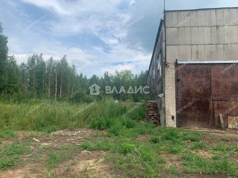 gorod-semenov-semenovskiy-gorodskoy-okrug фото