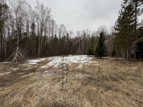 selo-kamenki-bogorodskiy-municipalnyy-okrug фото