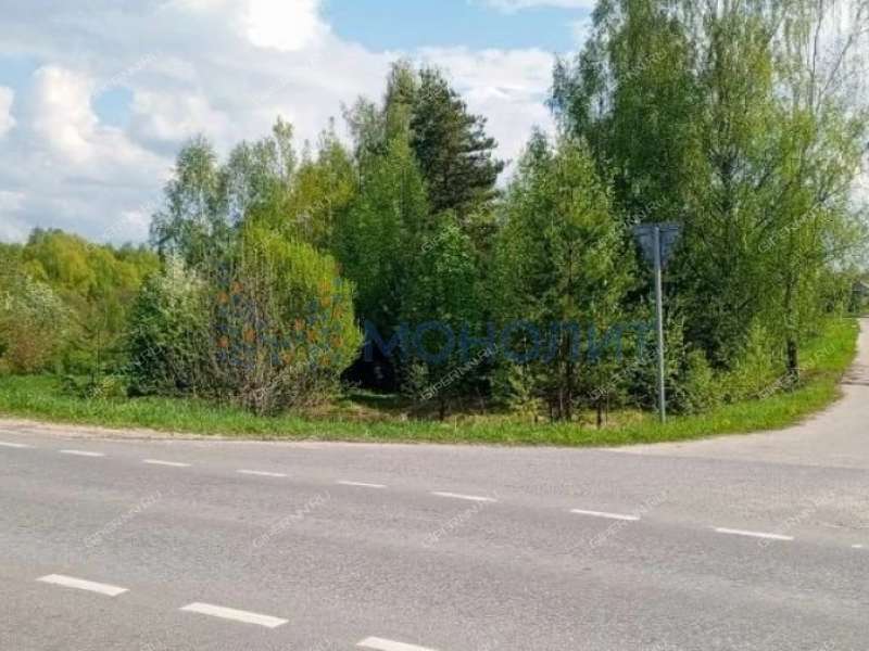 земельный участок 20 соток Новая улица деревня Киселёво