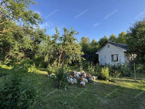 dacha фото