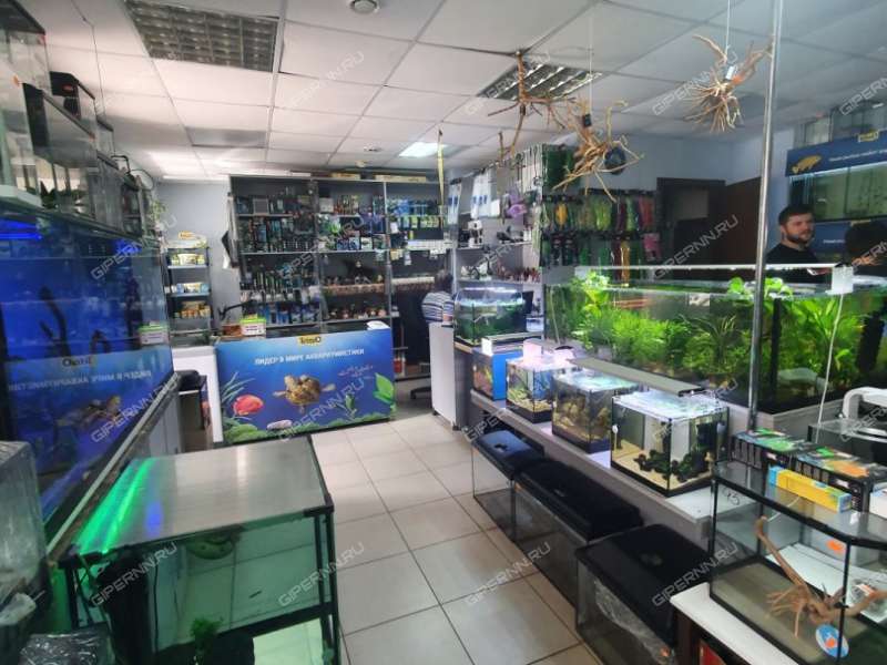 помещение под помещение свободного назначения на Театральной улице город Кстово