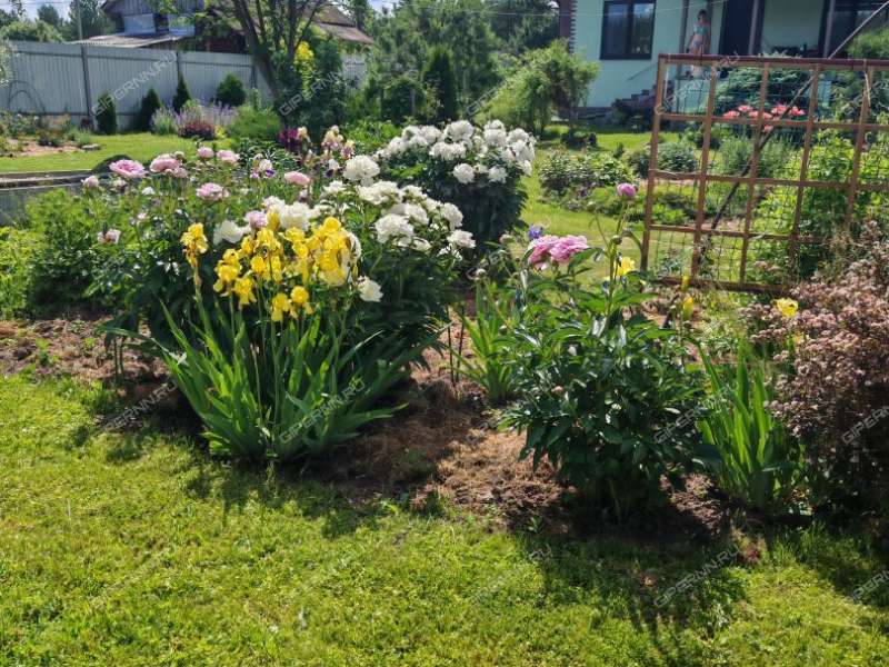 дом на Лесной улице село Вторусское