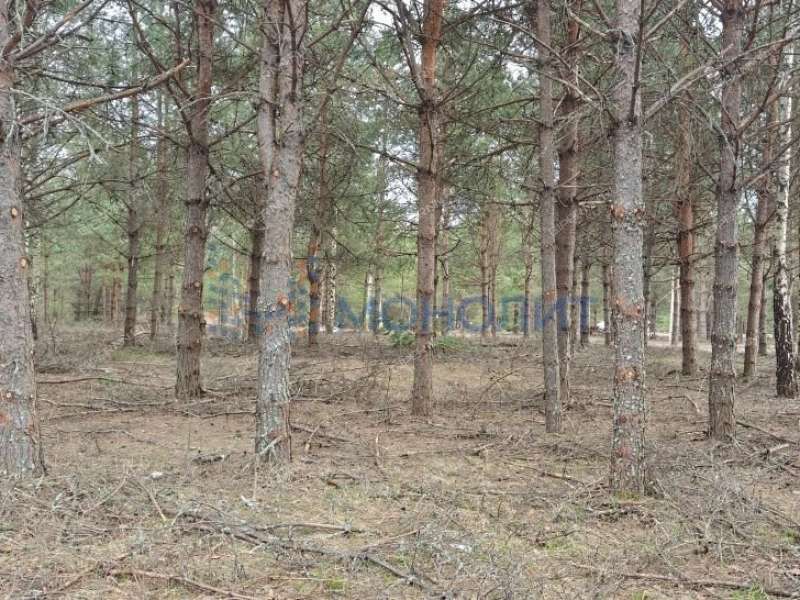 земельный участок 16 соток Ореховая улица Ивановское слобода