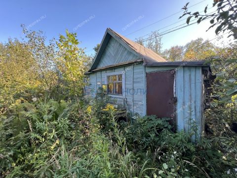 dacha-snt-stroygaz-snt-stroygaz фото