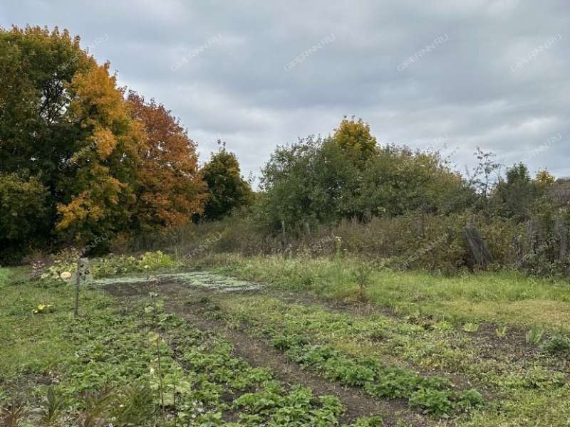 дом на Запрудной улице село Ореховец