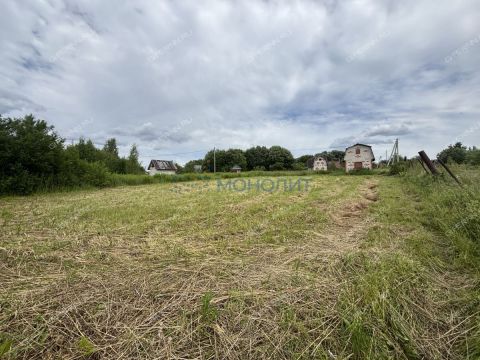 ryabinino-sad-gorodskoy-okrug-chkalovsk фото