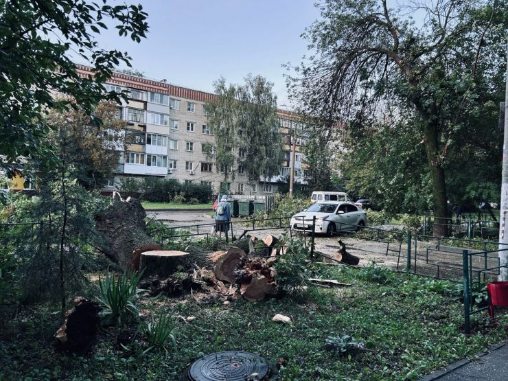 Фото: Дарья Ленина / gipernn.ru