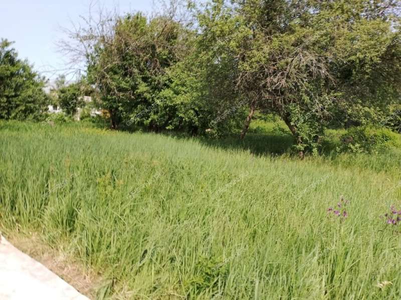 земельный участок 10,5 сотки СНТ Пыра-1 город Балахна