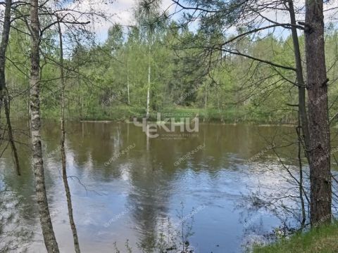 dom-derevnya-dubrava-gorodeckiy-rayon фото