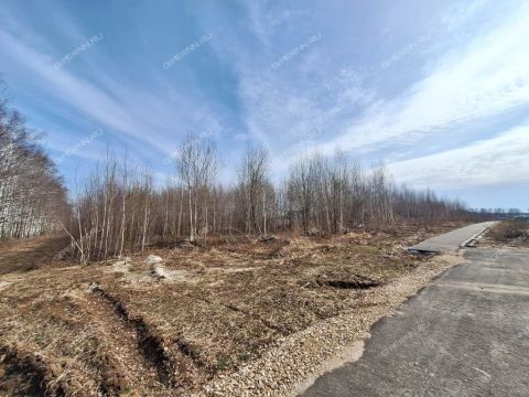 derevnya-ushakovo-bogorodskiy-municipalnyy-okrug фото