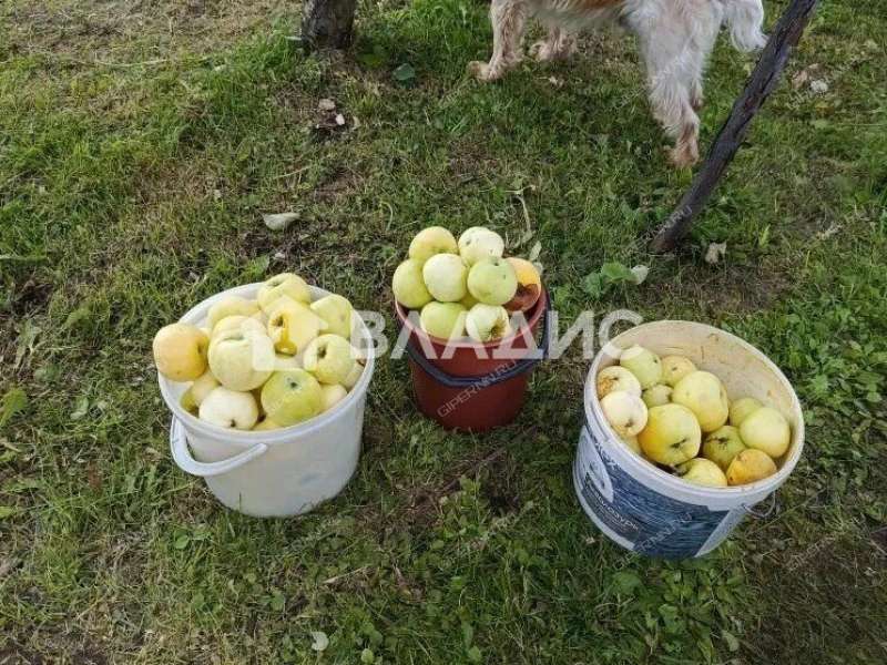 дом на улице 50-летия Победы