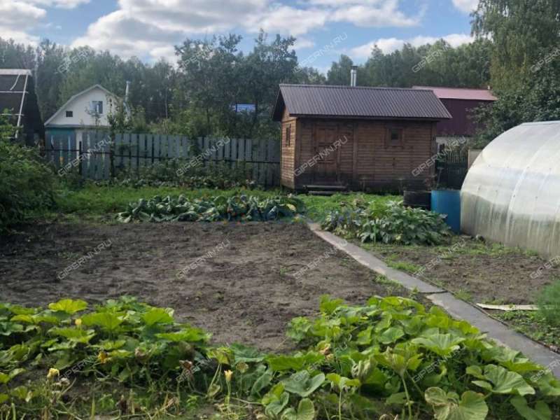 дом на СНТ Березка тер