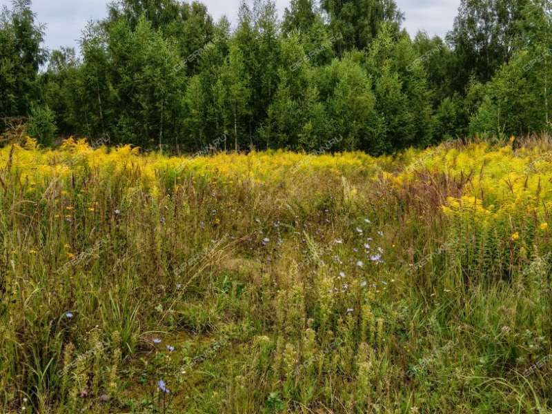 земельный участок под сельхоз назначение в городском округе Чкаловск Нижегородской области