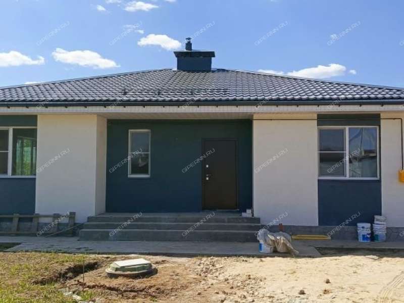 дом на улице Раздолье деревня Бурцево