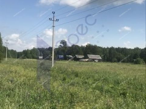 poselok-bogorodskoe-lyskovskiy-municipalnyy-okrug фото