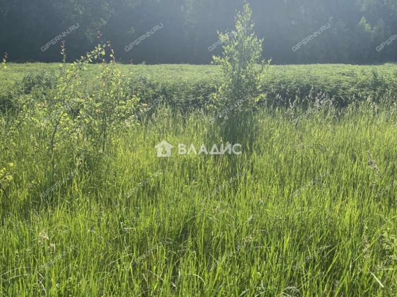 земельный участок 12,68 сотки улица Айвазовского село Шава