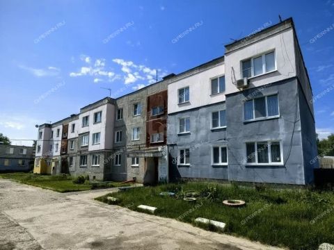 3-komnatnaya-poselok-berezovaya-poyma-ul-briketnaya-d-11 фото