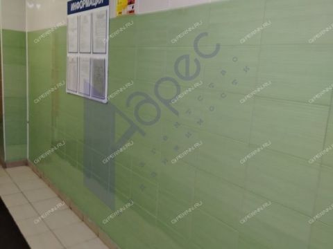 1-komnatnaya-derevnya-afonino-kstovskiy-rayon фото