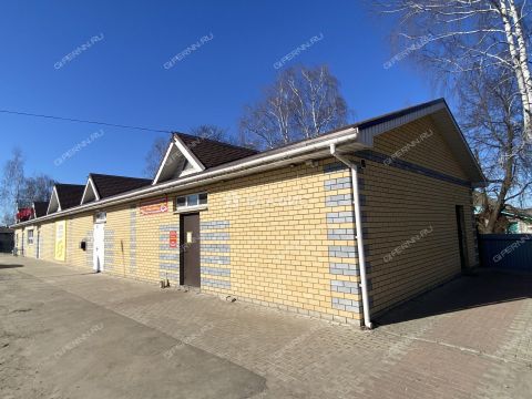 rabochiy-poselok-bolshoe-kozino-balahninskiy-municipalnyy-okrug фото