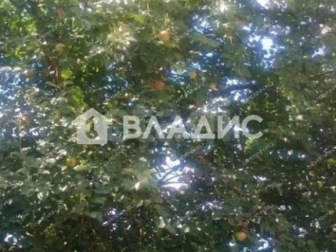dom-derevnya-ovechkino-gorodskoy-okrug-bor фото